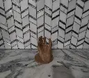 Soda Hand 1.webp
