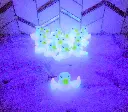 Ducks 2.webp