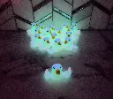 Ducks 3.webp