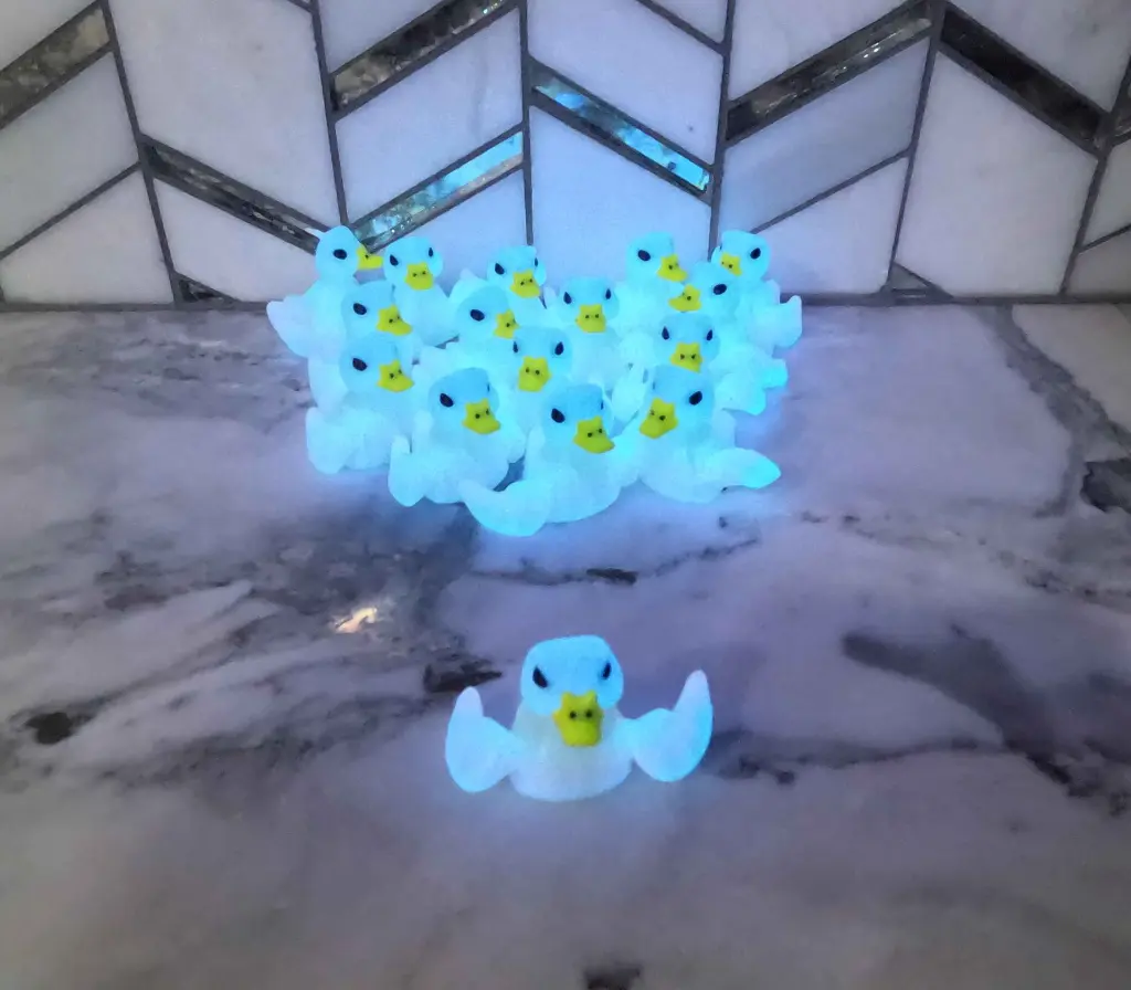 Ducks 1.webp