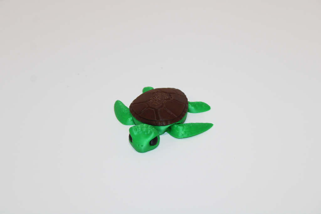 Tiny Turtle