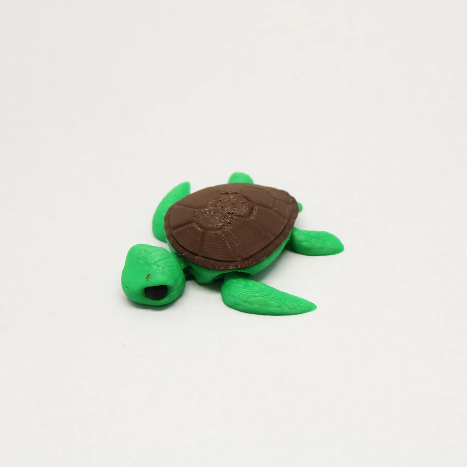 Island Tiny Turtle