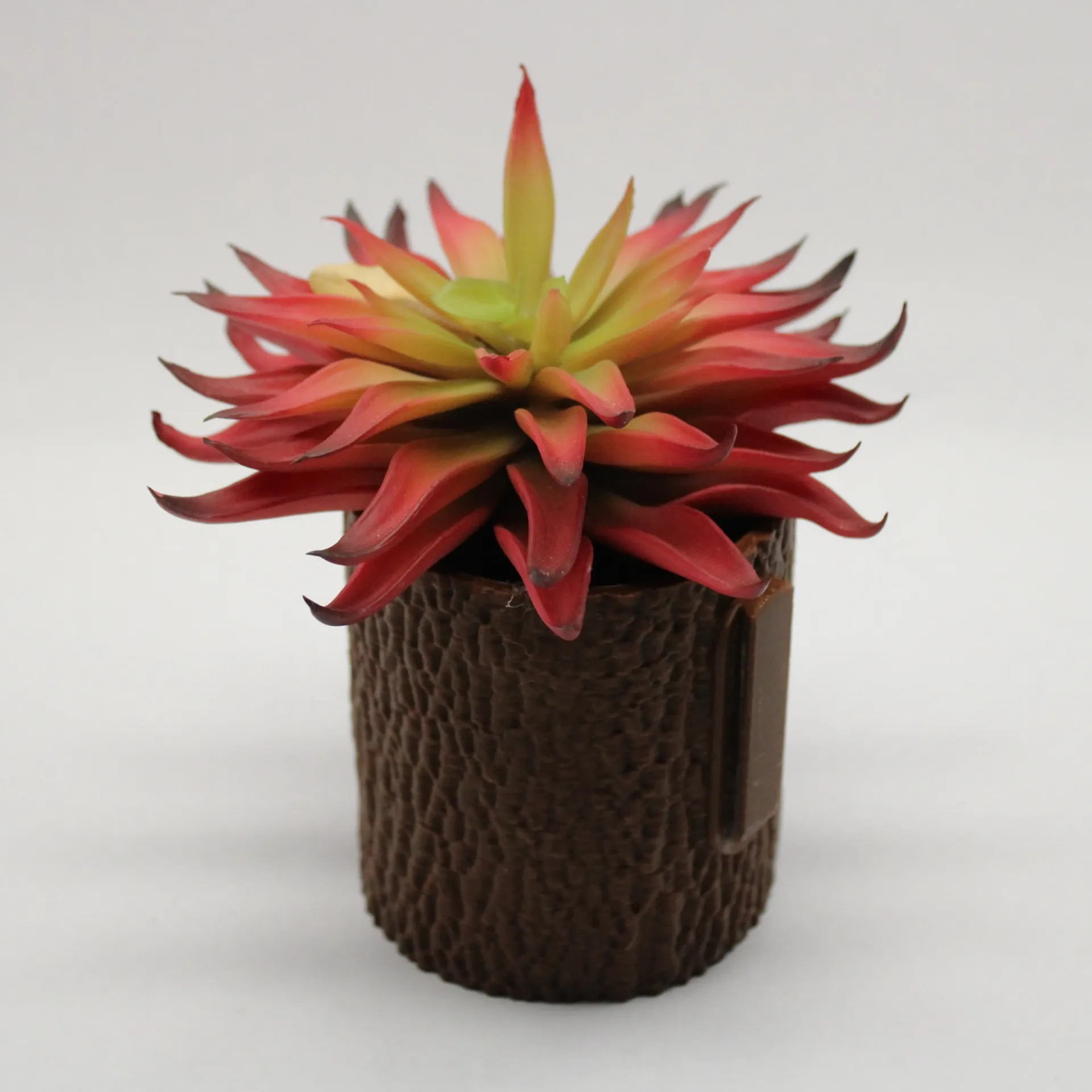 2.75" Wall Planters - Tree Bark (White, White)